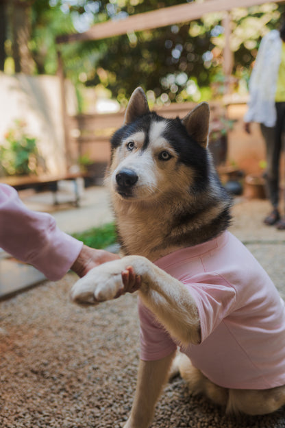 Ultra-Soft Pet T-shirt