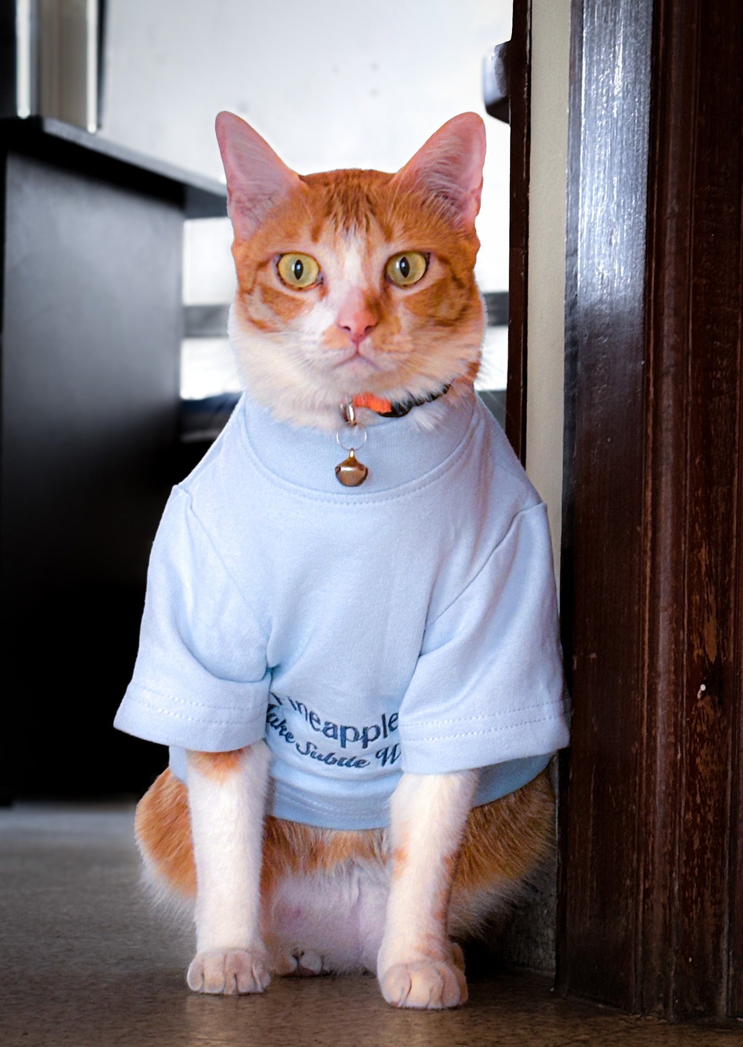 Ultra-Soft Pet T-shirt